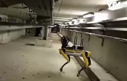 Robot hỗ trợ sửa chữa tàu điện ngầm