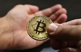 Bitcoin có thể đạt mức 100.000 USD vào năm sau