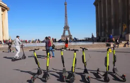 Pháp sẽ cấm sử dụng xe scooter điện trên đường phố Paris