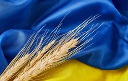 Ukraine chỉ trích EU và Ba Lan về các hạn chế xuất khẩu nông sản