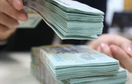 Bộ Tài chính đề xuất gia hạn tiền thuế và tiền thuê đất năm 2023