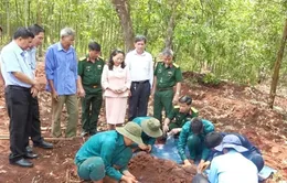 Phát hiện, cất bốc 20 hài cốt liệt sĩ tại Bình Phước