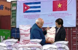 Việt Nam tặng Cuba 5.000 tấn gạo