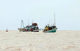 Trung Quốc đơn phương thông báo tạm ngừng đánh cá là không có giá trị