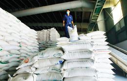 Xuất khẩu gạo tăng ngoạn mục 4 tháng đầu năm