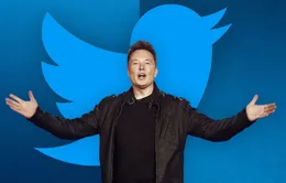Lộ diện nữ Giám đốc điều hành mới, Elon Musk sắp rời ghế CEO Twitter