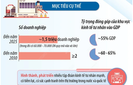 [INFOGRAPHIC] Đến năm 2025, khu vực kinh tế tư nhân đóng góp vào GDP đạt khoảng 55%