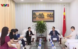 Nâng tầm hợp tác giáo dục giữa Đà Nẵng và các trường đại học Trung Quốc