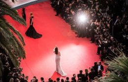 LHP Cannes nỗ lực vượt qua "khủng hoảng điện ảnh"