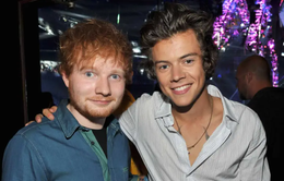 Ed Sheeran gọi Harry Styles là nghệ sĩ solo vĩ đại nhất thế giới