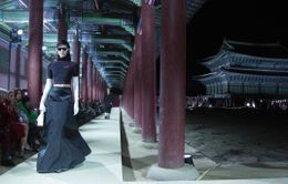 Tiệc thời trang của Gucci tại Hàn Quốc bị phản đối vì quá ồn ào