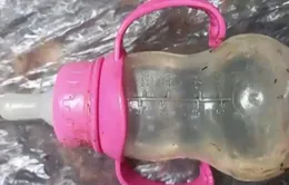 Bốn em nhỏ sống sót thần kỳ sau tai nạn máy bay
