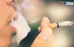 Việt Nam thuộc nhóm 15 nước có nam giới hút thuốc lá nhiều nhất thế giới