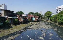 TP Hồ Chí Minh cải tạo rạch Xuyên Tâm