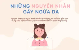 [INFOGRAPHIC] Những nguyên nhân gây ngứa da