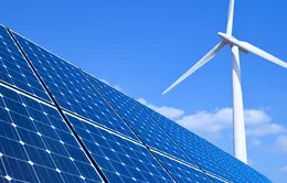 59/85 chủ đầu tư dự án năng lượng tái tạo chuyển tiếp gửi hồ sơ đàm phán hợp đồng