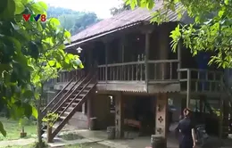 Phát triển du lịch sinh thái gắn với cộng đồng