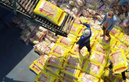 Xuất khẩu gạo tăng cao nhất nhóm nông sản chủ lực