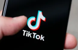 Kiểm tra toàn diện và triển khai đồng bộ các giải pháp để yêu cầu TikTok tuân thủ pháp luật Việt Nam