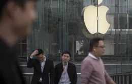 Vì sao Apple đứng ngoài "làn sóng" sa thải?