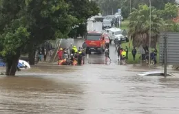Mưa lũ nghiêm trọng khiến hơn 170 người thiệt mạng ở miền Đông Congo