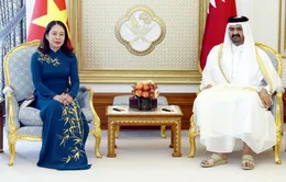 Thúc đẩy hơn nữa quan hệ hợp tác nhiều mặt Việt Nam - Qatar