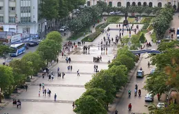 Nghiên cứu làm mái che trên phố đi bộ Nguyễn Huệ, công viên Bến Bạch Đằng