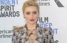 Amber Heard sẽ trở lại trên thảm đỏ LHP Italy