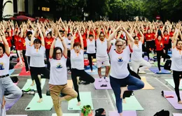 Hơn 1.000 người biểu diễn tại Festival chào mừng ngày Quốc tế Yoga