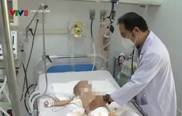 Thêm 1 cháu bé ở Đắk Lắk mắc viêm não Nhật Bản