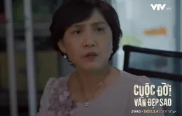 Cuộc đời vẫn đẹp sao - Tập 38: Hòa vẫn quan tâm đến bố con Lưu