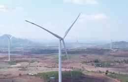 Gia Lai: Yêu cầu tạm dừng vận hành thử nghiệm nhà máy điện gió
