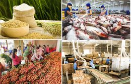Xuất khẩu nông, lâm, thủy sản 6 tháng mang về gần 25 tỷ USD