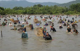 Hàng nghìn người tham gia lễ hội đánh cá Vực Rào