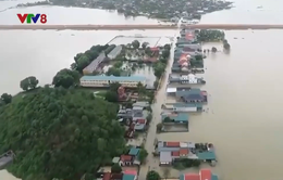 Hội nghị phòng chống thiên tai, bảo vệ đê điều