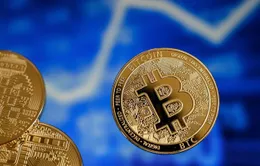 Đồng Bitcoin "án binh" suốt bốn tuần qua