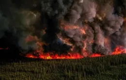 Canada đối mặt với thảm họa cháy rừng chưa từng có
