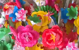 Sắc màu hoa giấy Thanh Tiên