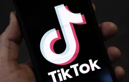 TikTok đặt mục tiêu 20 tỷ USD trong mảng kinh doanh thương mại điện tử