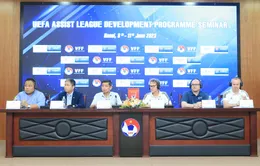 UEFA phối hợp với VFF phát triển các giải bóng đá chuyên nghiệp