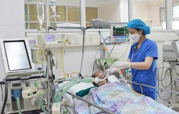 Hai người ngộ độc nguy kịch sau khi ăn so biển