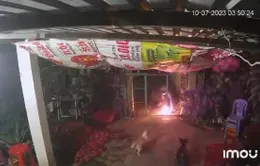 Bình Thuận: Hộ dân bị ném bom xăng vào nhà