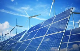 Các dự án năng lượng tái tạo chuyển tiếp chiếm 0,4% sản lượng điện