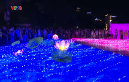 Đà Nẵng: Không gian ánh sáng nghệ thuật bên bờ sông Hàn