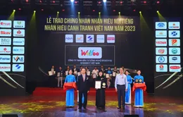 "Sói Wolfoo" lần thứ 2 lọt Top 10 Nhãn hiệu cạnh tranh Việt Nam