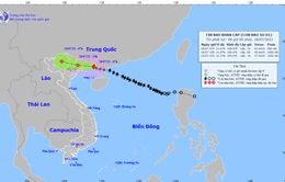 Bão số 1 cách Móng Cái (Quảng Ninh) khoảng 100km