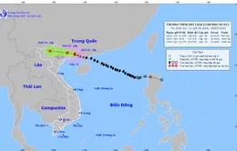 Bão số 1 cách Móng Cái (Quảng Ninh) 60km