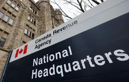 Cơ quan doanh thu của Canada điều tra nhân viên trục lợi trong đại dịch, sa thải 20 người