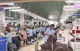 Phú Yên đảm bảo an toàn vệ sinh lao động cho công nhân