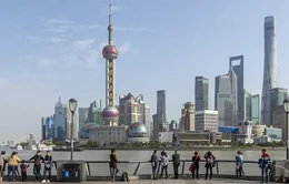 Thượng Hải hấp dẫn các công ty đa quốc gia